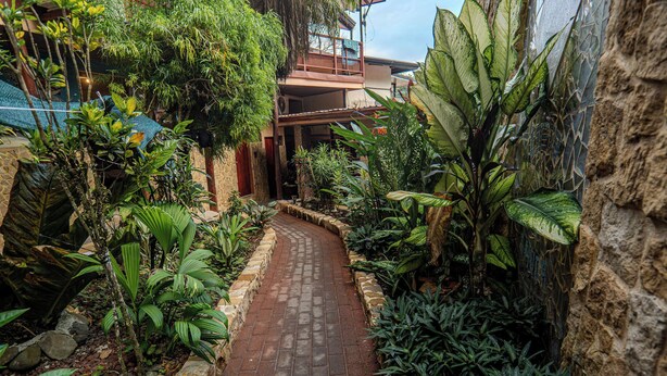 A narrow brick pathway flanked by lush tropical plants and a stone wall, leading to a building with a balcony. - COSTA LINDA ART HOSTEL  (Quepos)