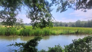 Ein friedlicher Teich, umgeben von üppigem Grün und Bäumen.