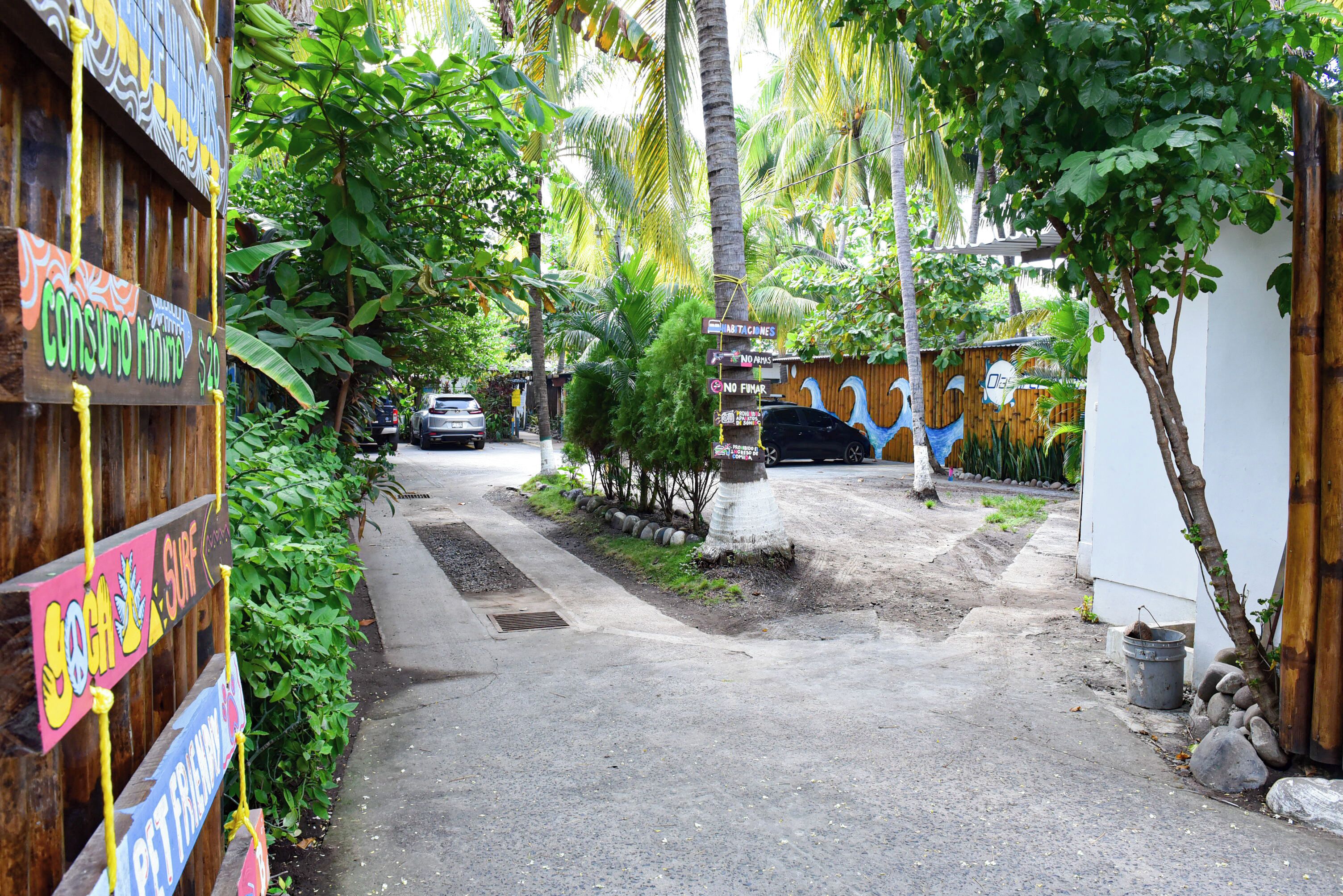 A narrow street with a wooden fence on one side and a mural on the other. There are trees and a parked car visible.