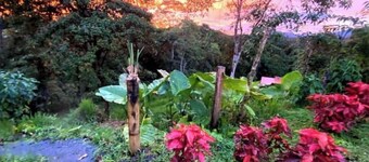 Shanti hOMe Be embraced by Mother Nature w/private waterfalls and river access