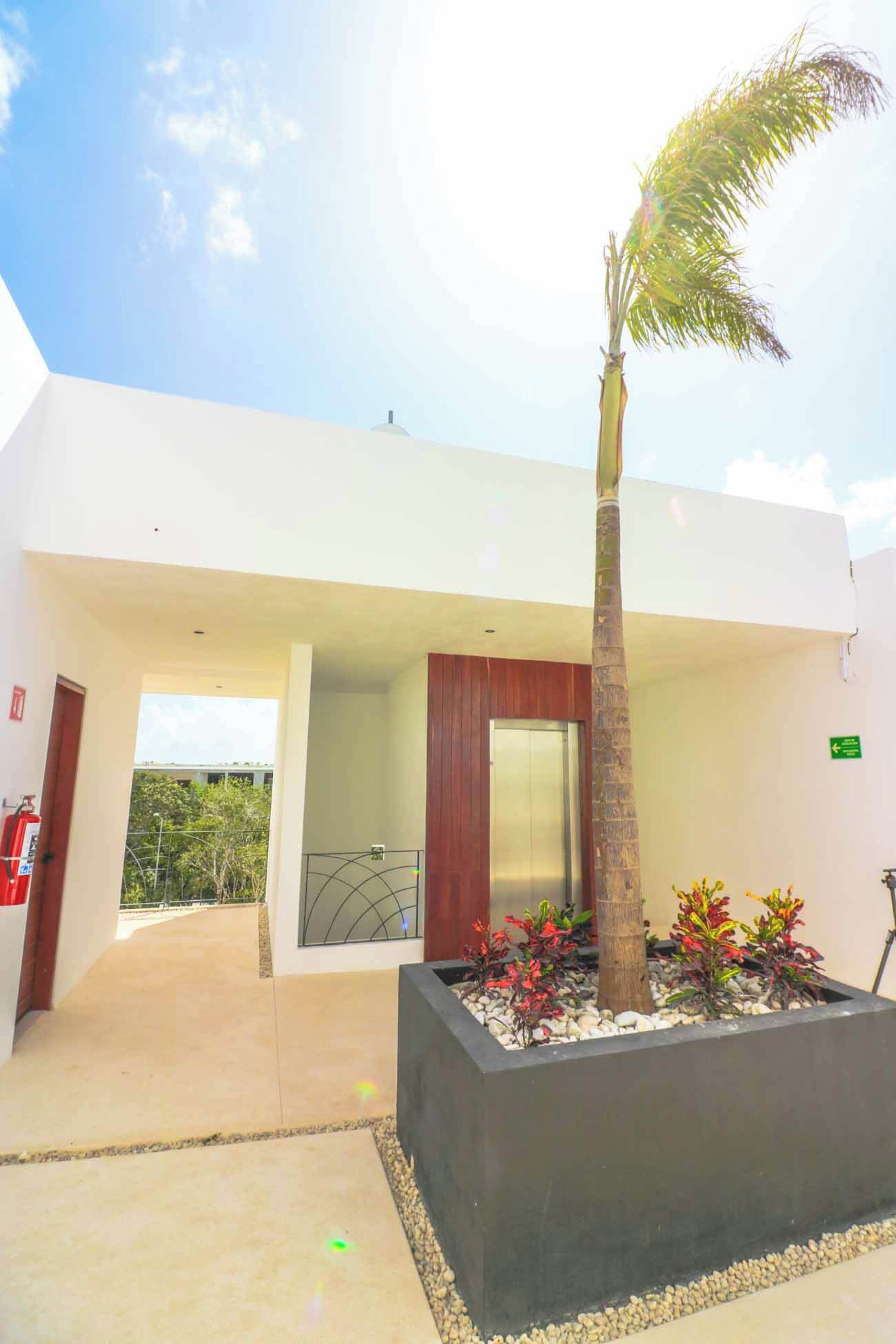 A modern building with a central entrance, a palm tree, and a planter with red and green plants.