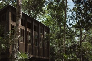 A wooden cabin surrounded by dense forest.