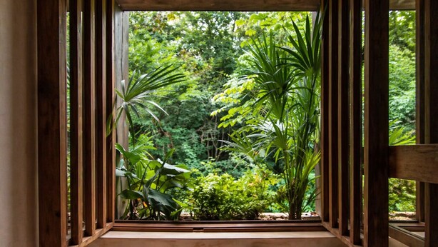 Master Pool Tree House | 浴室 | 淋浴设施、大花洒淋浴喷头、吹风机、浴袍