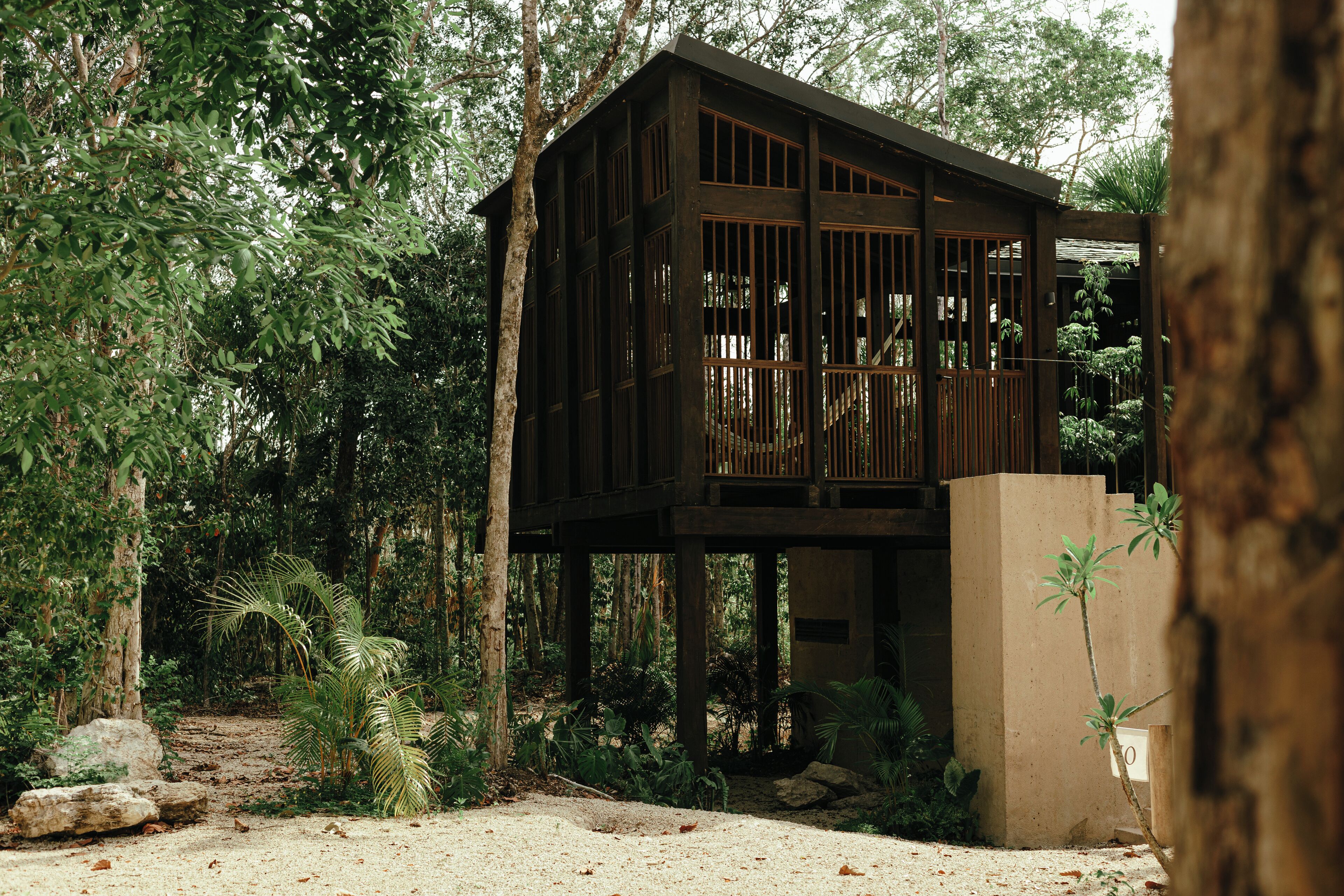 A wooden cabin with a balcony, surrounded by dense forest and a sandy ground.