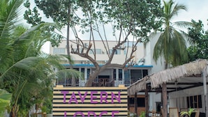 Un letrero para Tavern Lodge, con una estructura de techo de paja y plantas en macetas al frente.