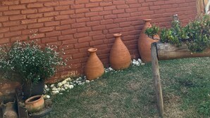 Un edificio rústico con fachada de madera, un ventanal grande y varias macetas de barro en primer plano.