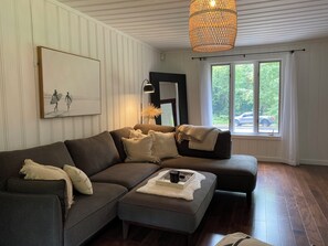 TV connectée, cheminée, livres, chaîne hi-fi