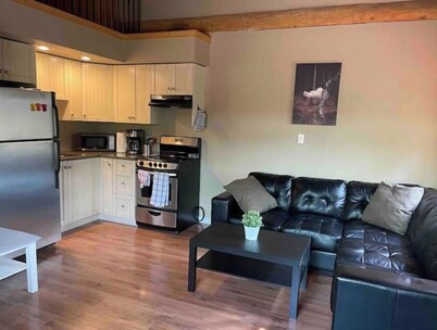 Dogs love our cabin in Lac Le Jeune close to lake