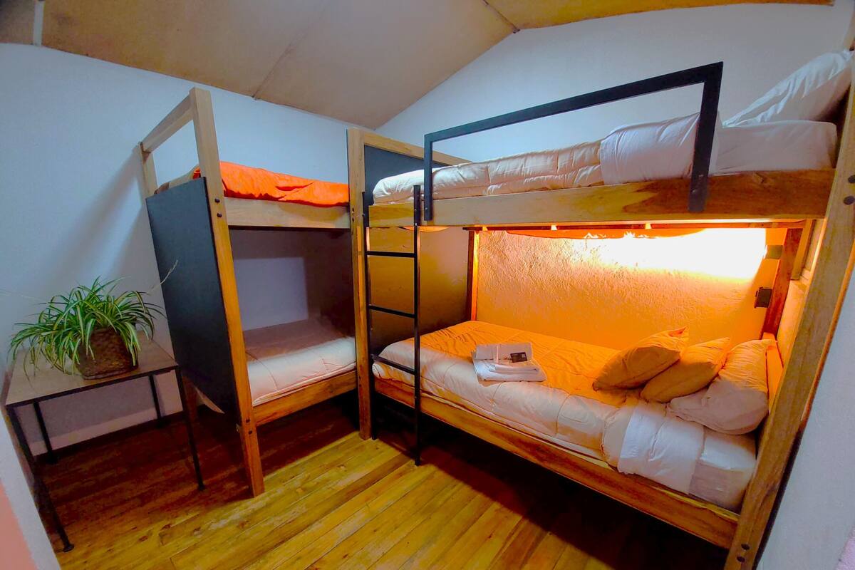 Una camera con letto a castello, pavimento in legno, un tavolino con una pianta e un comodino.