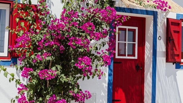 A white building with a red door and windows, a blue and white exterior, and a potted plant with pink flowers in front. - Casa Vó Briata (Mértola)