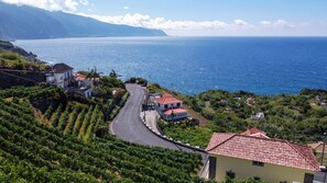 Une route côtière bordée de maisons et de vignobles.