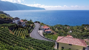 Une route côtière bordée de maisons et de vignobles.