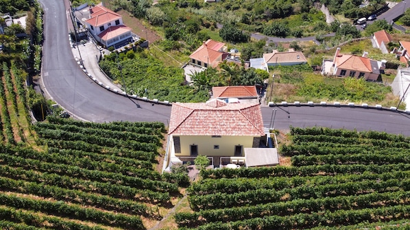 Un vignoble avec des rangées de vignes, un bâtiment doté d’un toit recouvert de tuiles rouges et une route sinueuse.