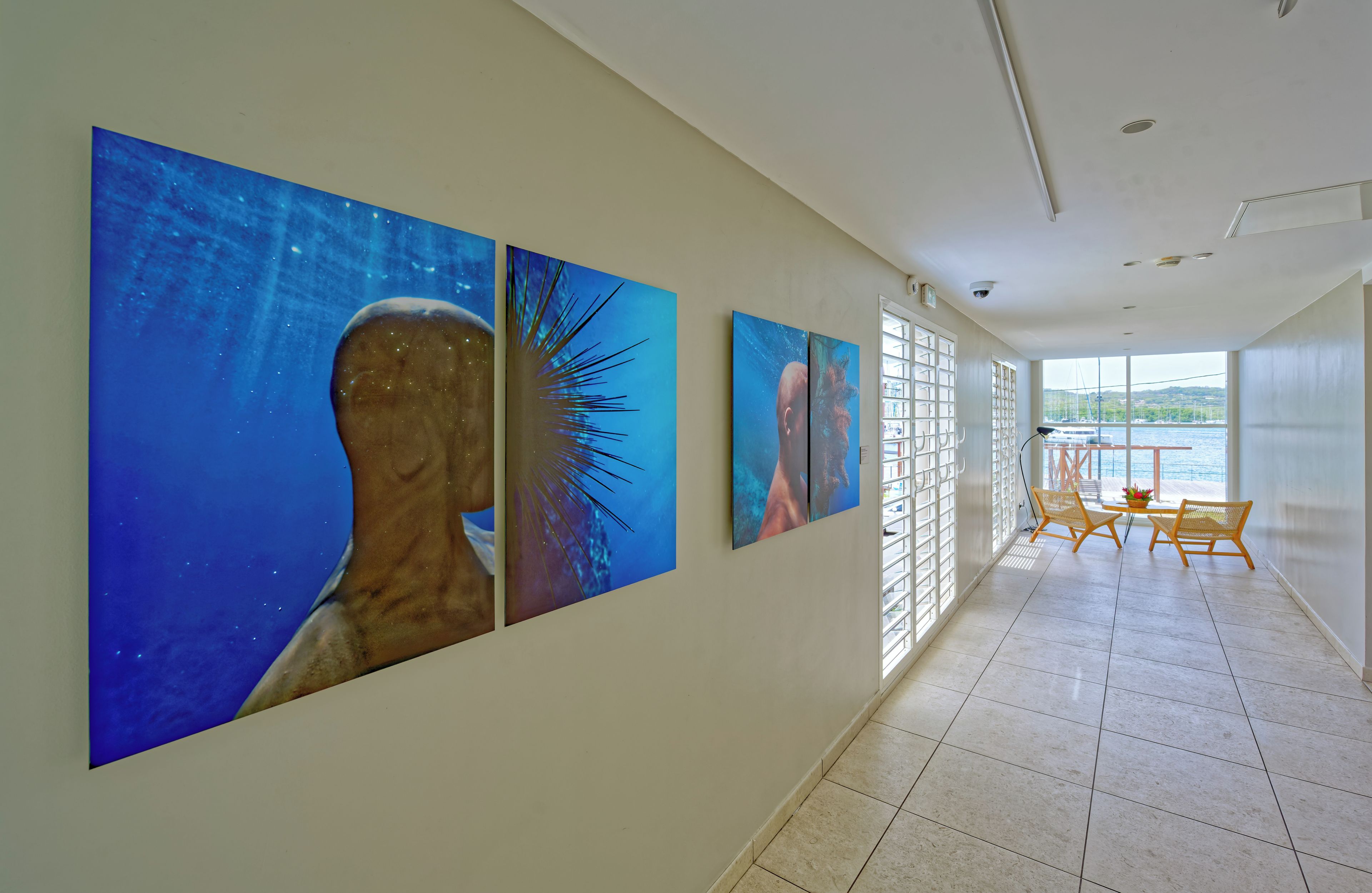 Un pasillo con tres grandes obras de arte colgando en la pared que representan escenas submarinas.