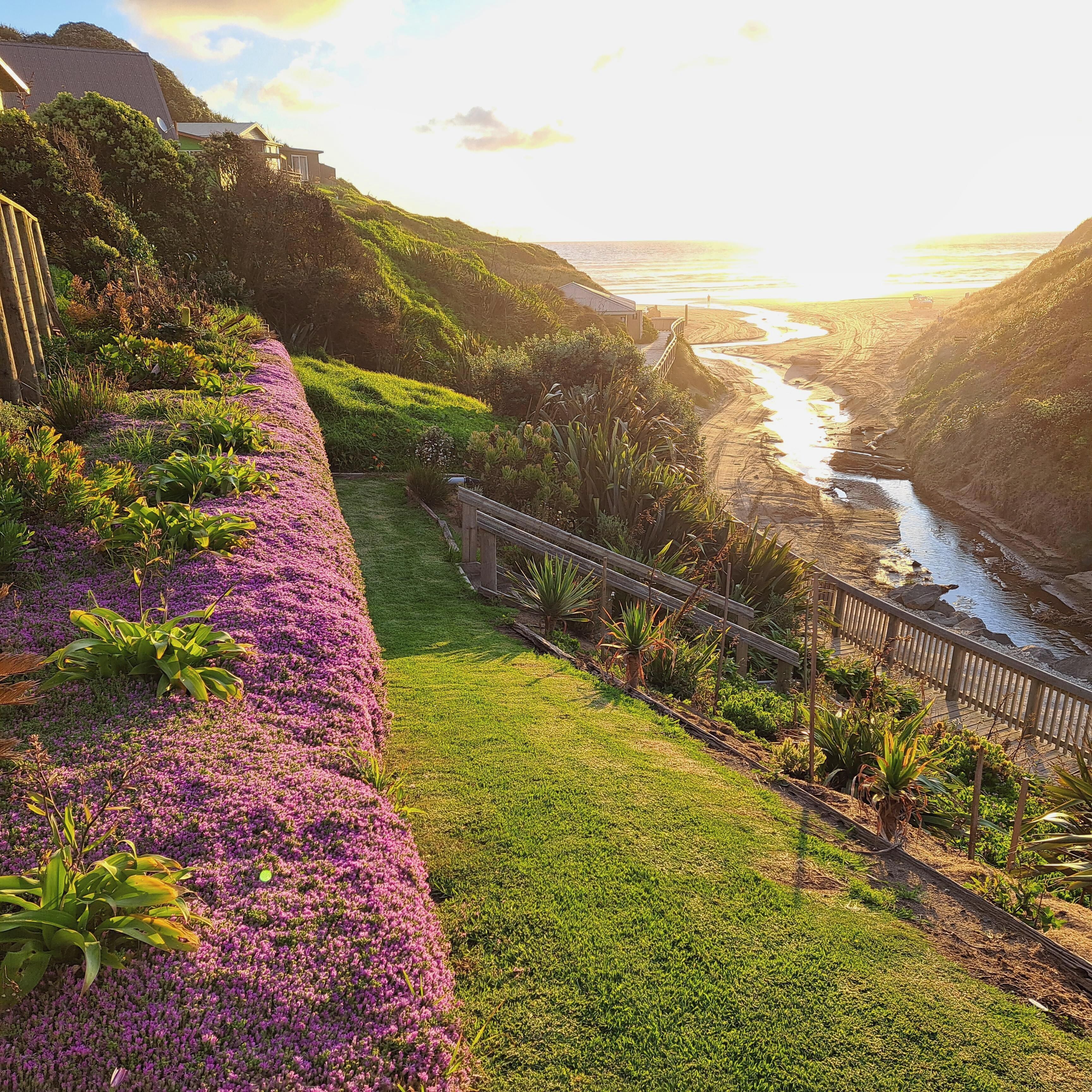 A landscaped garden with a pathway leading to a beach.