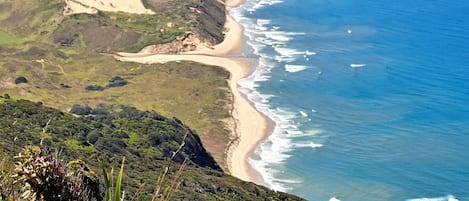 Serviettes de plage