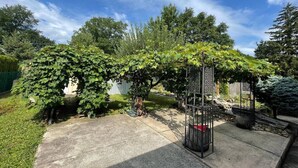 Un jardin agrémenté d’une pergola, d’un mur en pierre et de différentes espèces d’arbres.