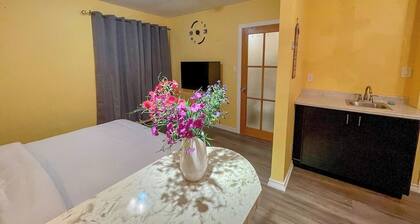 Short walk to the falls 2room luxury free parking