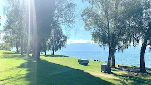 A park with a grassy area, trees, a bench, and a body of water in the background.