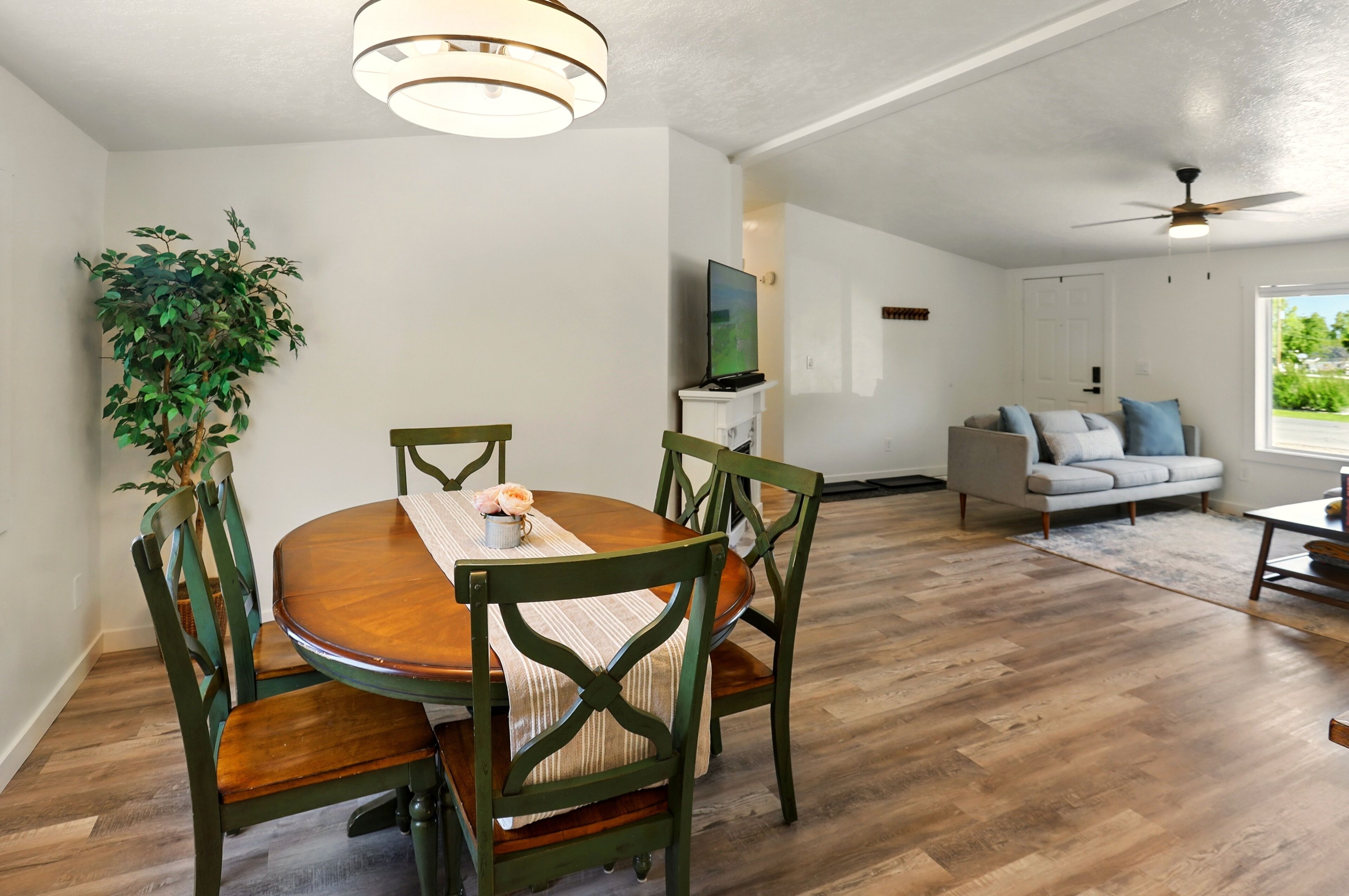 A dining area with a wooden table and chairs, a potted plant, and a television in the background.