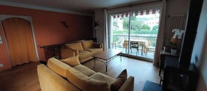 TV connectée, cheminée, livres, chaîne hi-fi
