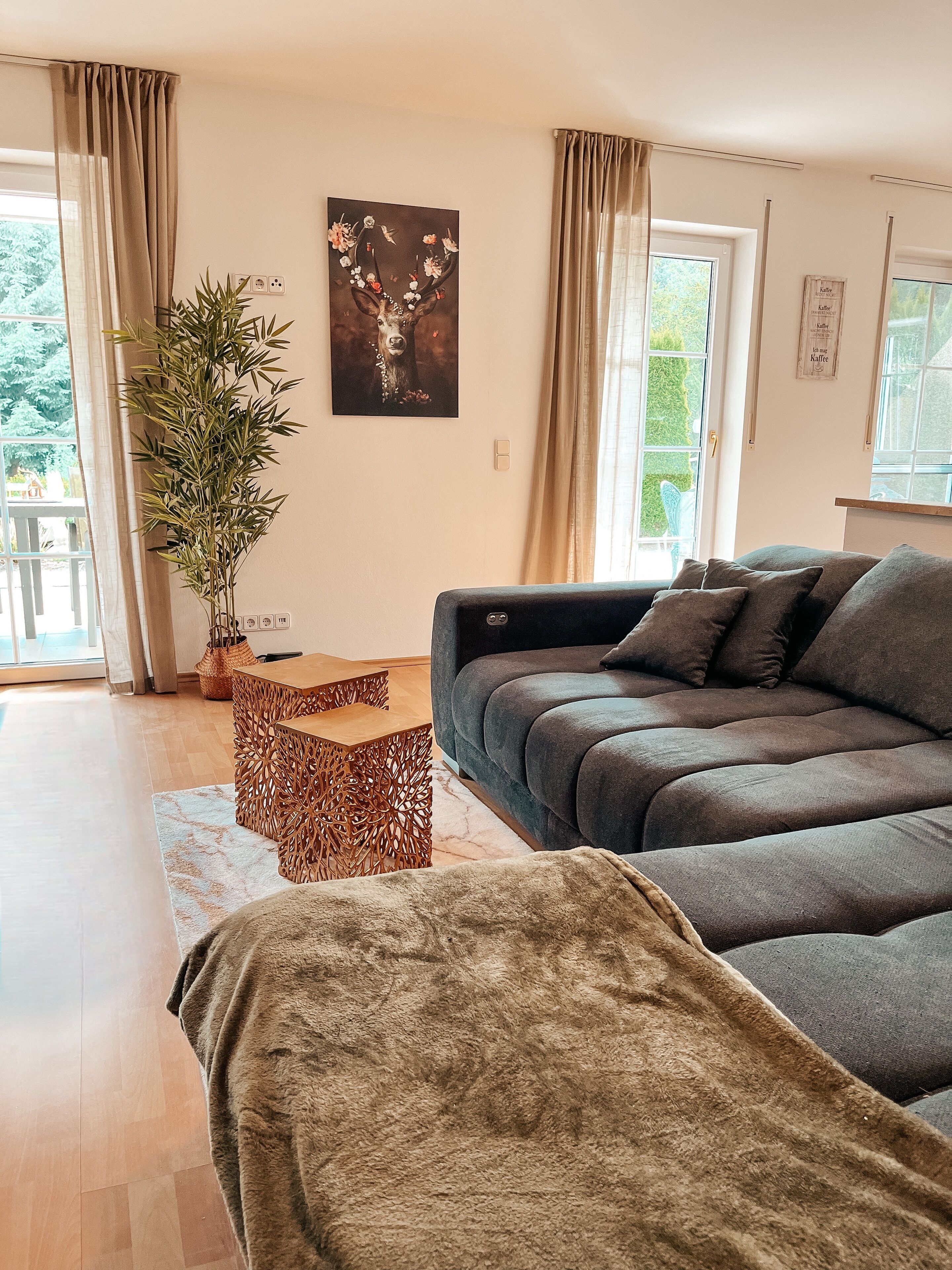 智能电视、壁炉