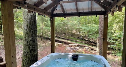 Gold Dust Getaway - Near Downtown/Hot Tub/Fire-Pit/Dog-Friendly
