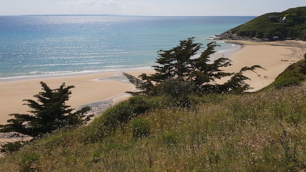 Ein Strand mit blauem Himmel, sandigem Ufer und vereinzelten Bäumen.