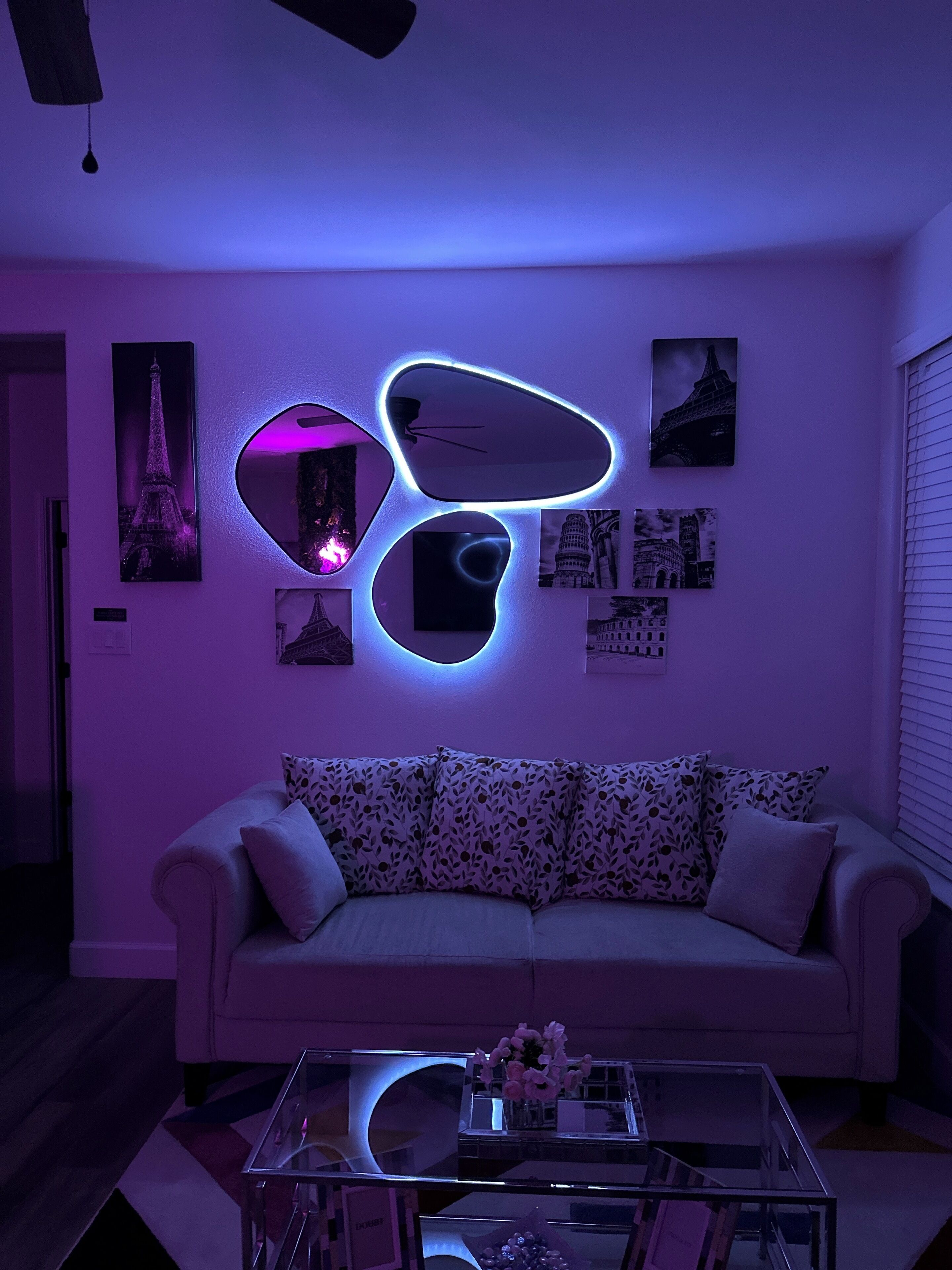 Smart-tv, pejs, bøger