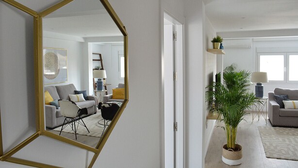 En moderne stue med et stort spejl, en sofa, et sofabord og en potteplante.