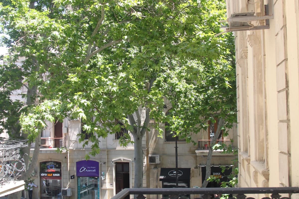A balcony with wicker furniture, a view of a tree-lined street, and a building facade with signage.
