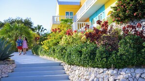 A colorful building with a stone retaining wall and steps leading up to it. - MERAKII SEAVIEW ESCAPE CURACAO (Willemstad)