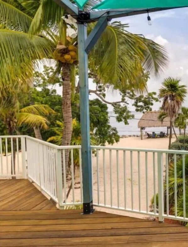 Property grounds - New! Oceanview Oasis whole house - Theater - Screened Porch - Sundeck - Grill (Marathon)