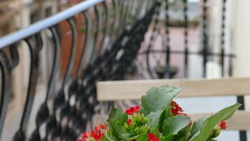 Terras