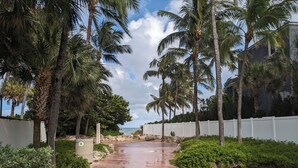 Un chemin pavé, bordé de palmiers et délimité par une clôture blanche, mène à un plan d’eau.