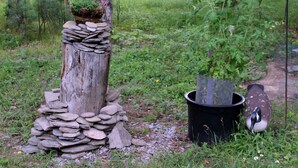 A rustic outdoor setting with a wooden stump adorned with a mossy top and a small flower arrangement. Nearby, there is a black trash bin and a penguin figurine. - SUGAR MAPLE CHALET (Dansville)