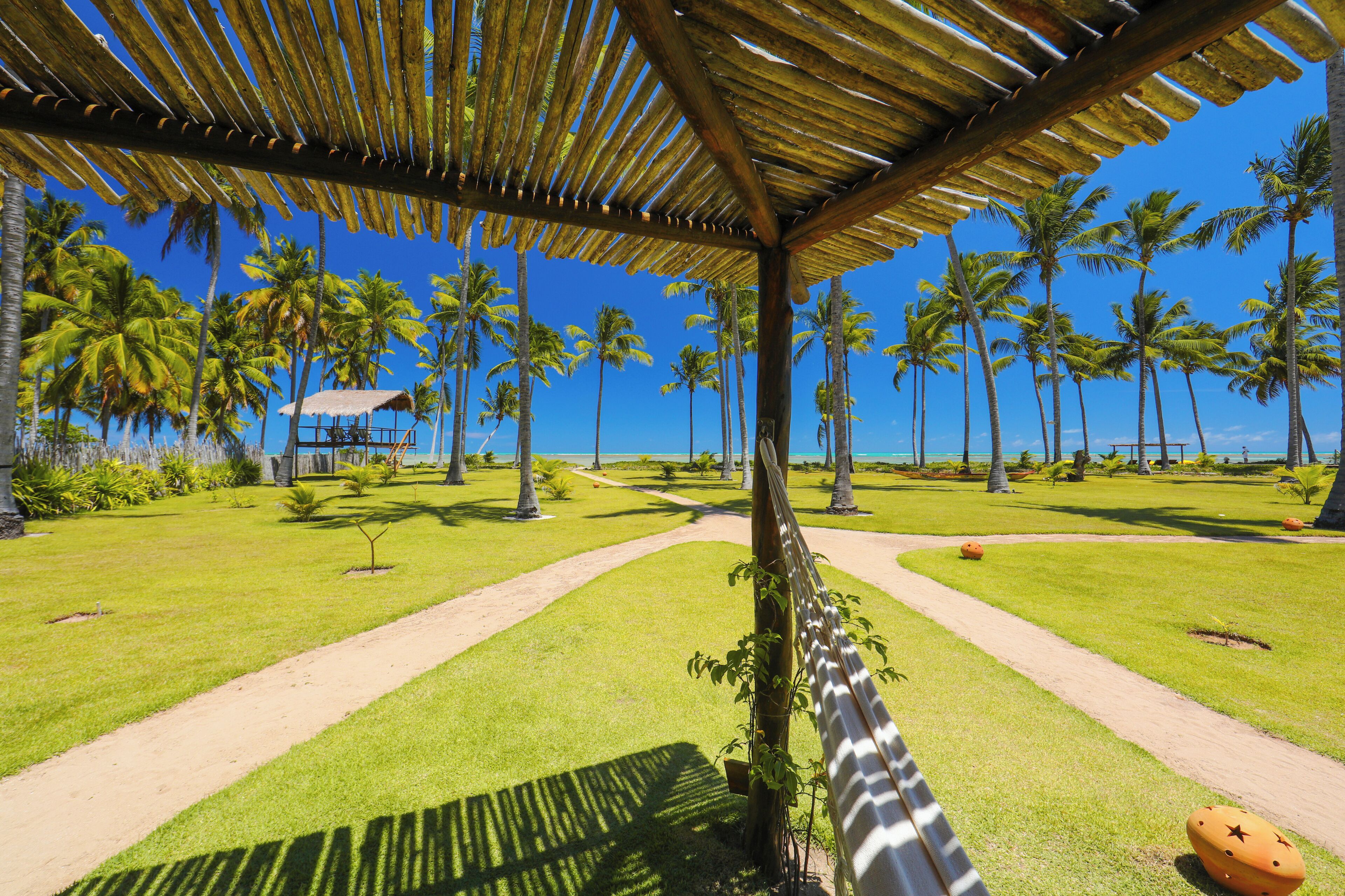 A tropical resort with a thatched-roof pavilion, palm trees, and a clear view of the ocean.