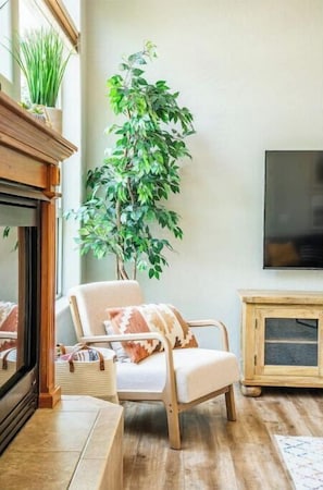 Smart-TV, Kamin, Videospiele, DVD-Player