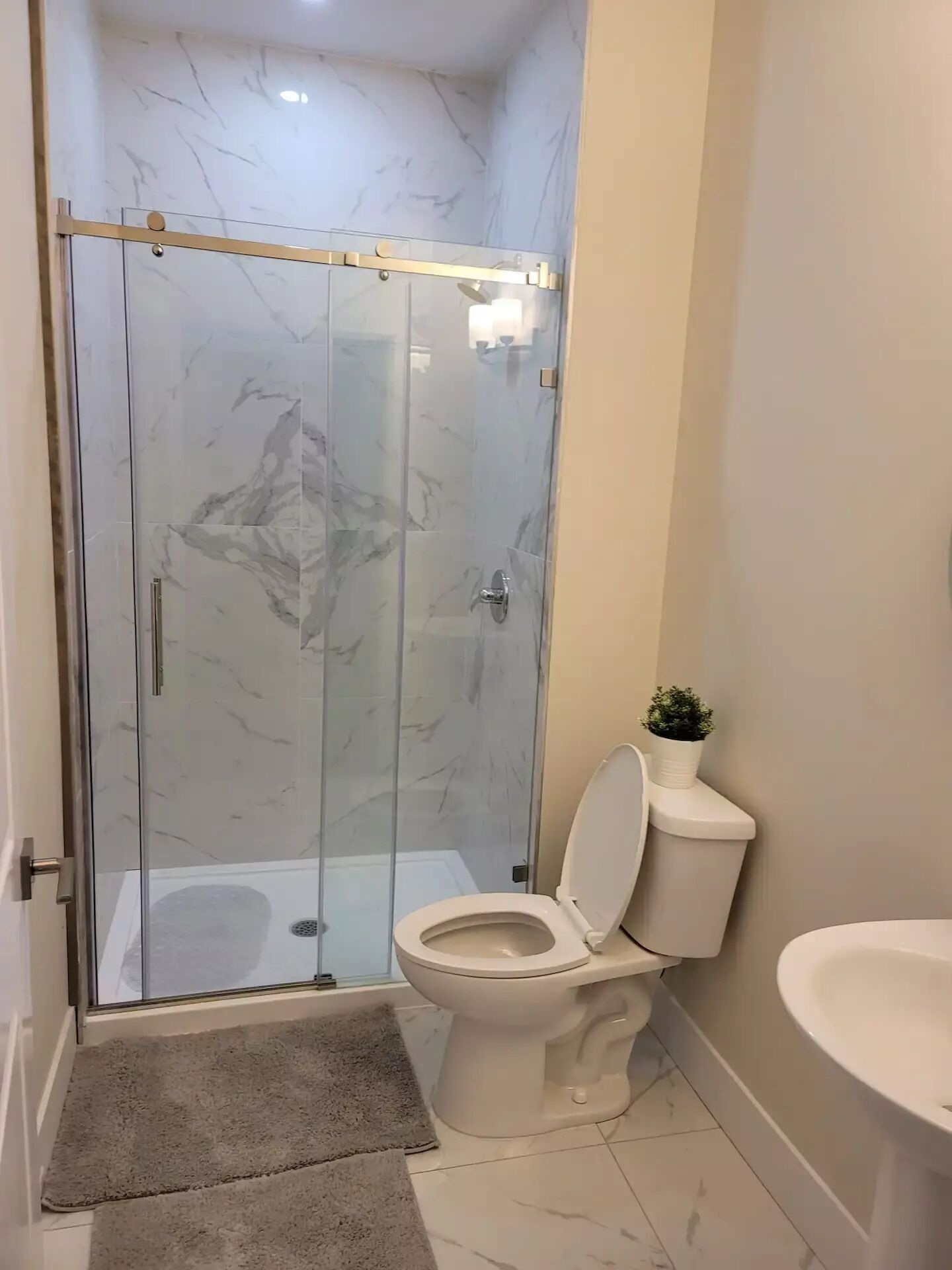 Hair dryer, towels, soap, shampoo