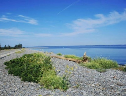 Ocean View Cabin #1