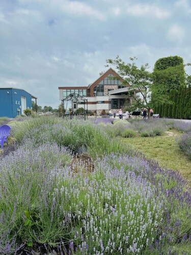 Nature Oasis: Waterfront, pet friendly, kayaks, SUPs, dock, amenities galore