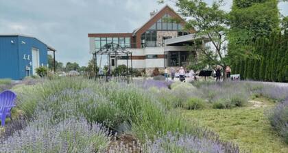 Nature Oasis: Waterfront, pet friendly, kayaks, SUPs, dock, amenities galore