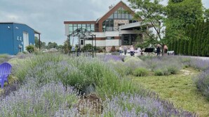 Un edificio moderno con fachada de vidrio y un jardín ajardinado con lavanda.