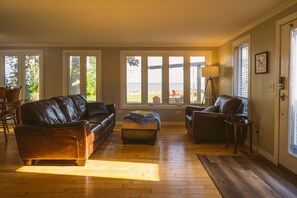 Smart TV, fireplace, books, music library