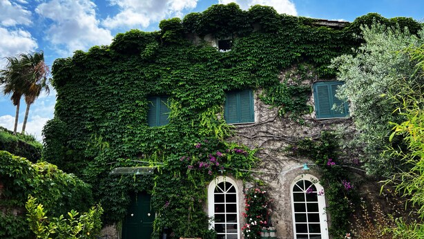 A building covered in green ivy, with a green door and windows, surrounded by potted plants and flowers. - Giardini Penelope Resort e Spa (Ciampino)