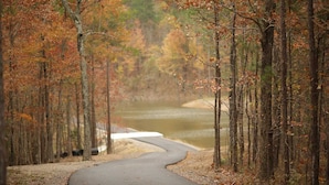 A winding road through a forest with autumn foliage.