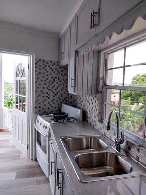 Una cocina moderna con estufa a gas, pileta de acero inoxidable y ventana con vista a follaje.