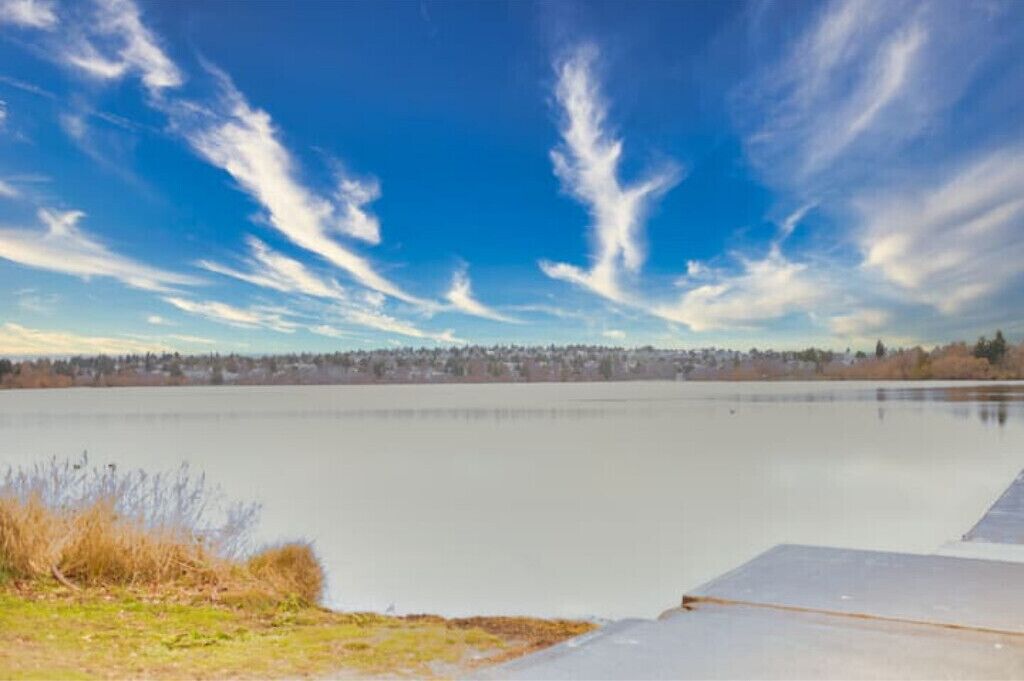 A calm lake with a clear sky and distant trees.