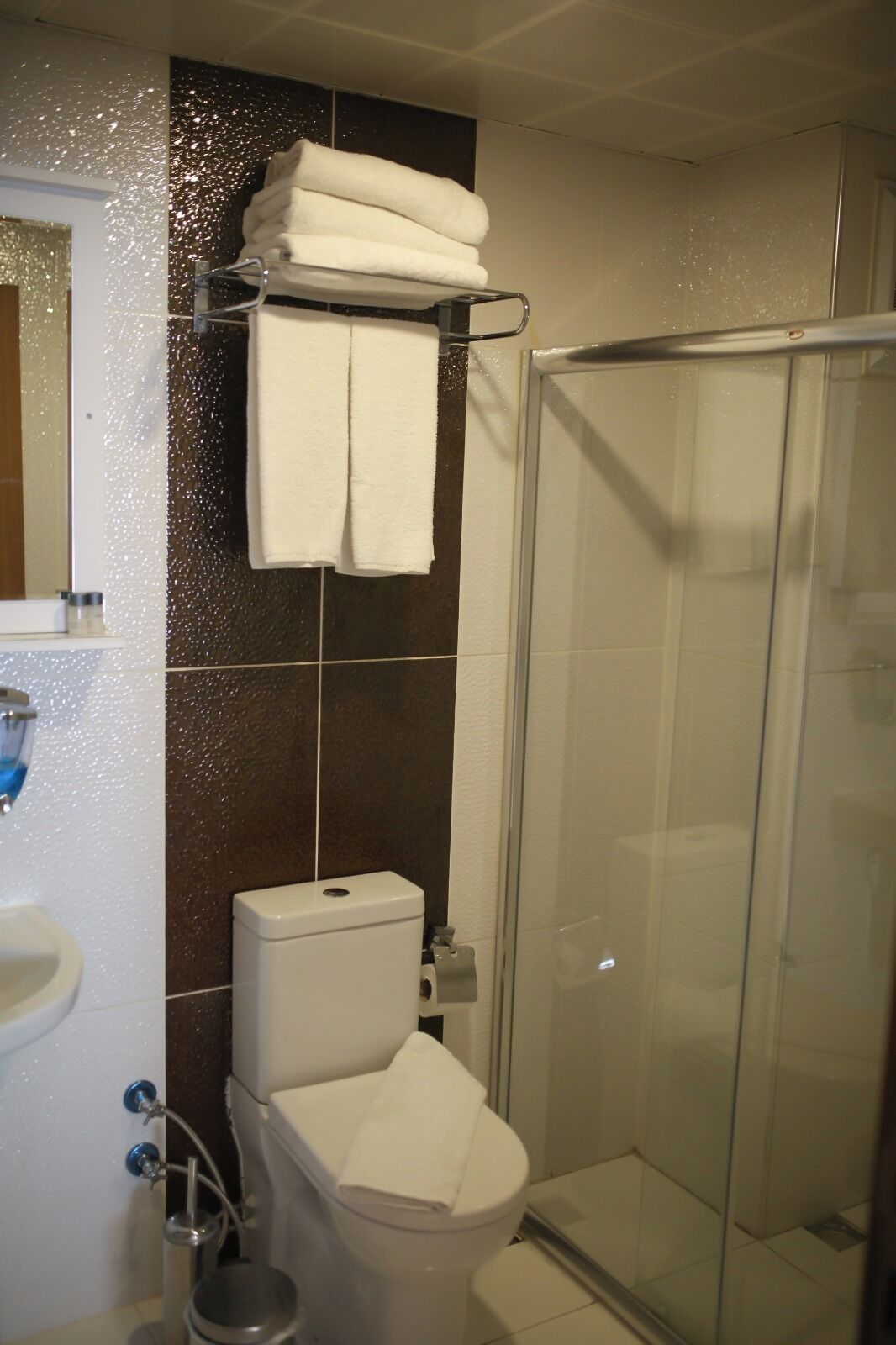 Un baño con inodoro, cabina de ducha de vidrio y toallero con toallas dobladas.