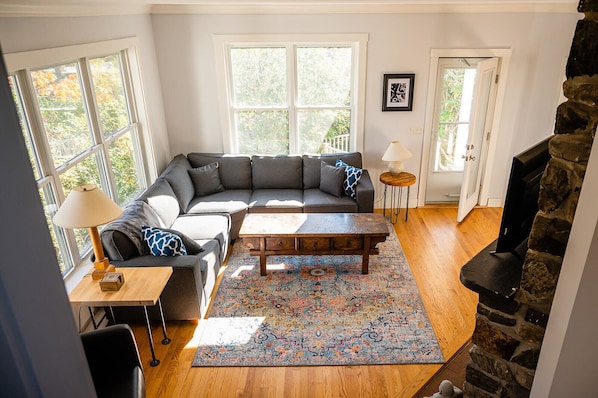 TV, fireplace, books, music library